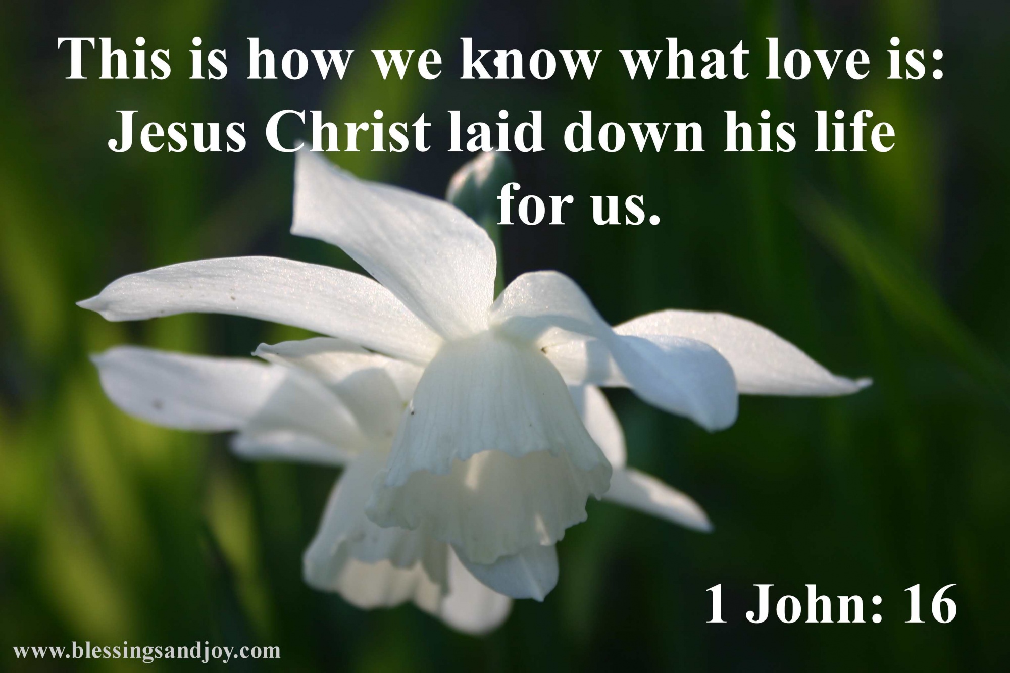 Easter_this_is_what_love_is-27