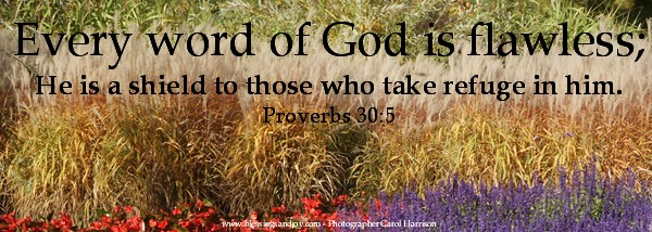 Proverbs30-5-april92014