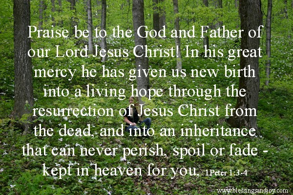 1-Peter-1-Verses3-4-Easter2915